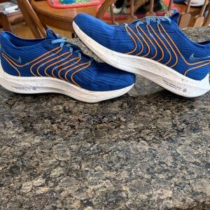 Nike Mens Pegasus Next Nature EUC size 10.5